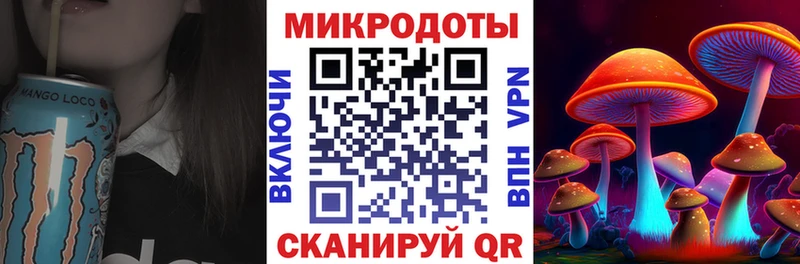 где найти   Советский  Галлюциногенные грибы мицелий 