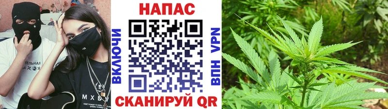 mega рабочий сайт  маркетплейс официальный сайт  Бошки марихуана планчик  Советский 
